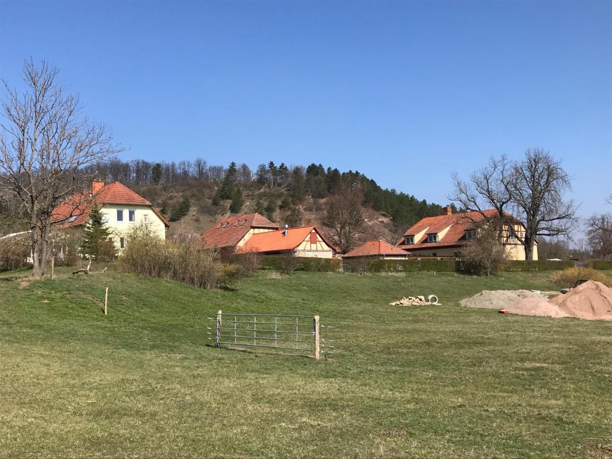 Pension Freudenthal Wandersleben Exterior foto